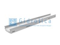 Гидролика Лоток композитбетонный мелкосидящий Filcoten DN100, h55