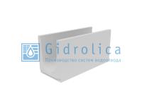 Гидролика Лоток водоотводный бетонный коробчатый (СО-300мм)КU 100.39,4(30).49,5(42,5) - BGU, № 20-0